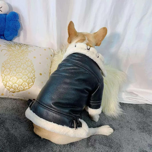 Leather Jacket 20200221212545