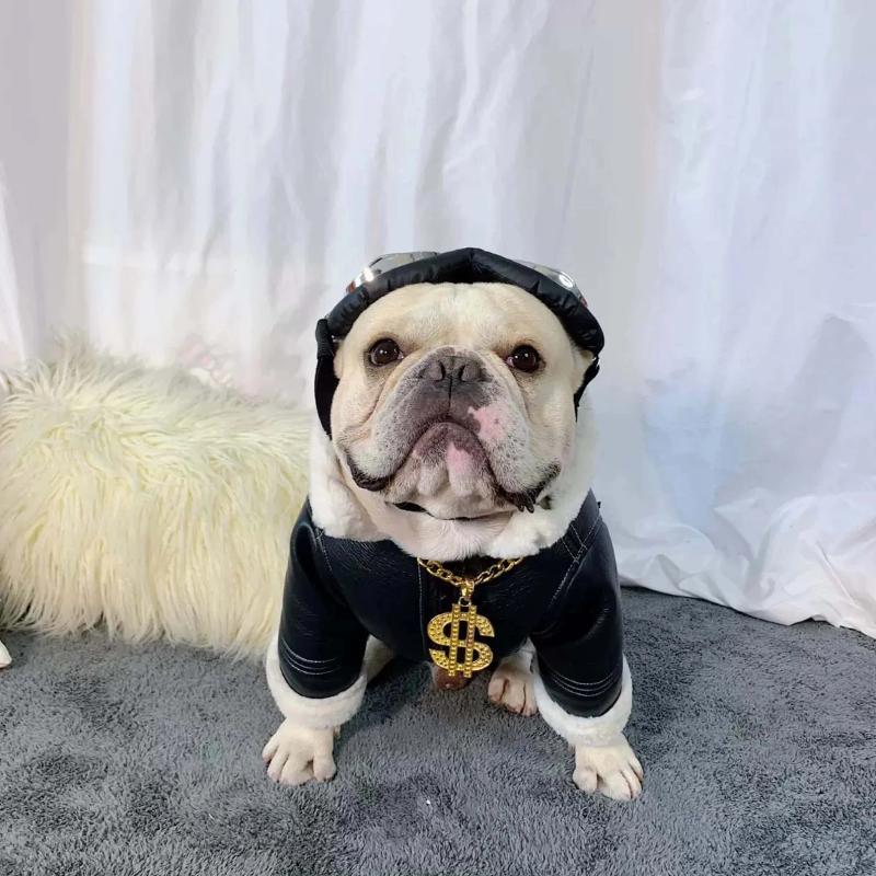 Dog Leather Faux Fur Jacket Coat for French Bully - Frenchiely