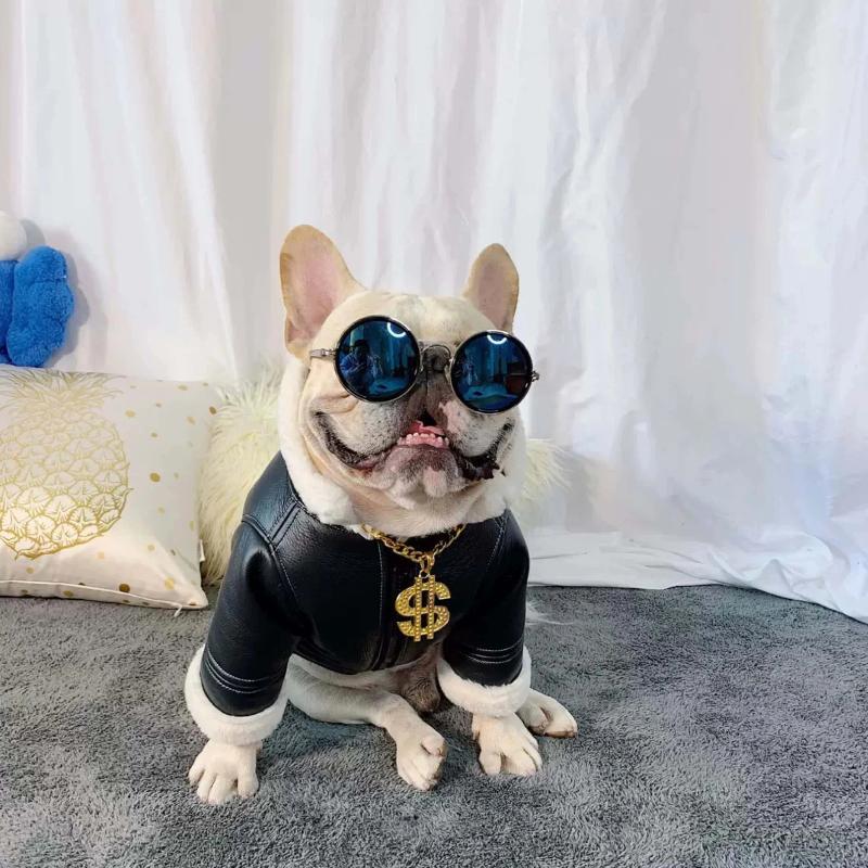 Dog Leather Faux Fur Jacket Coat for French Bully - Frenchiely
