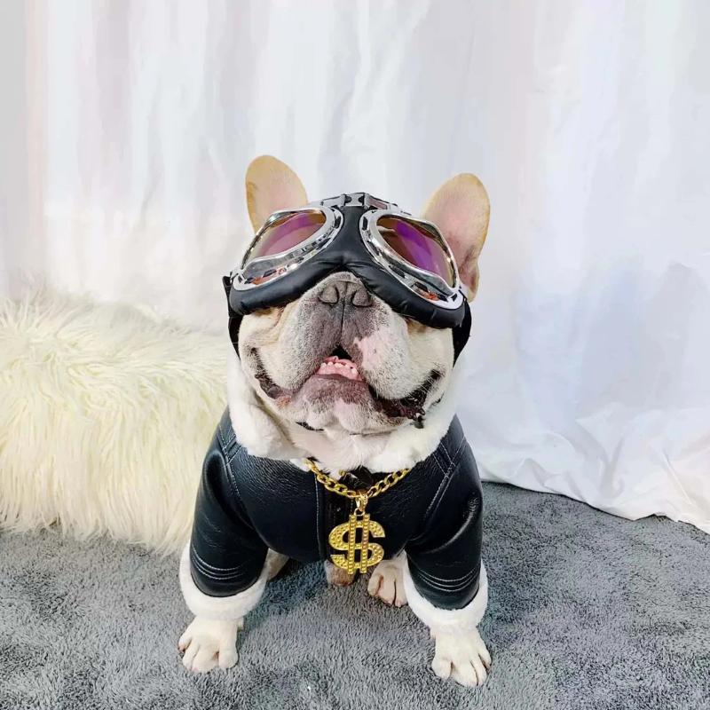 Dog Leather Faux Fur Jacket Coat for French Bully - Frenchiely