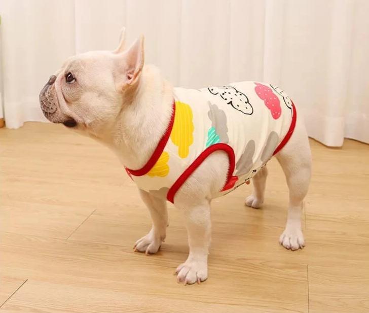 Dog Funny Summer Vest Shirt for French Bully - Frenchiely