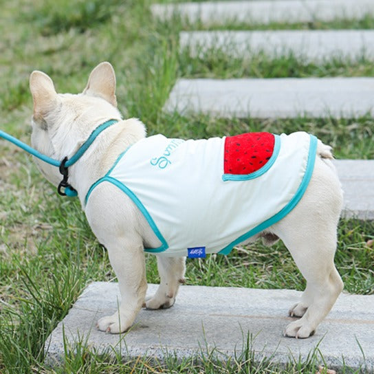 Dog Summer Cotton Shirt with Pocket - Watermelon - Frenchiely