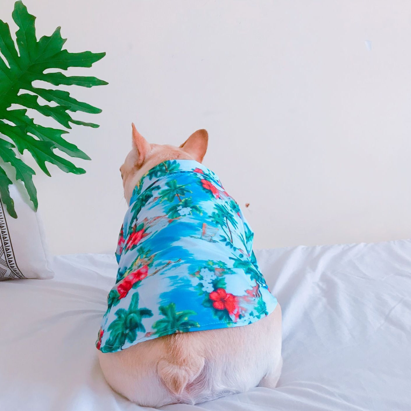 Dog Hawaiian islands Shirt - Frenchiely