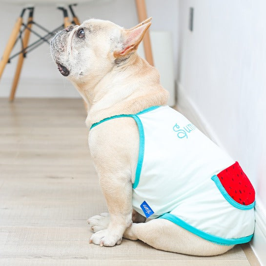 Dog Summer Cotton Shirt with Pocket - Watermelon - Frenchiely