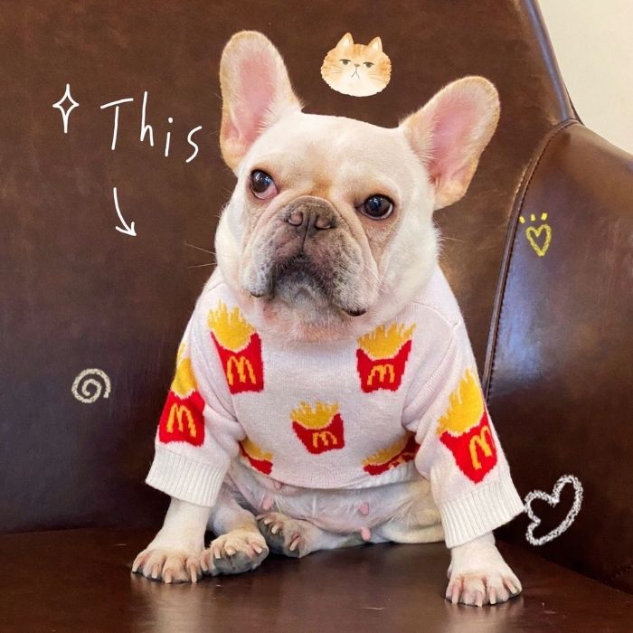 Dog Cute Mc Donald's Pullover Sweater for Small medium dogs by Frenchiely