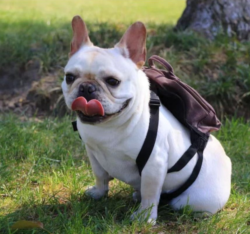 Dog Cartoon Mesh Self Backpack Carrier - Frenchiely