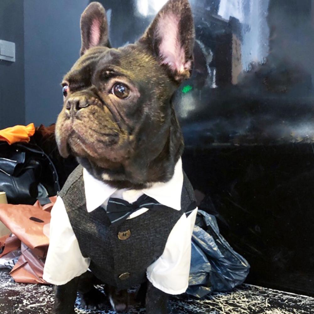 Dog Fancy Black Suit Vest Waistcoat for Male Medium Dogs - Frenchiely