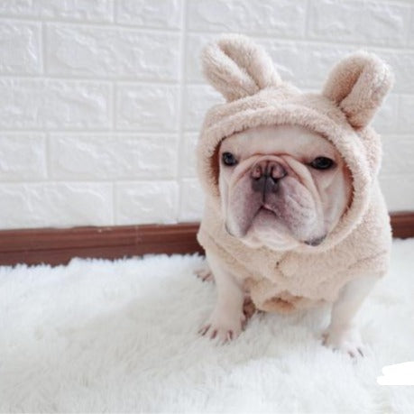 Cartoon Bear Hoodie Coat for French Bulldogs - Frenchiely