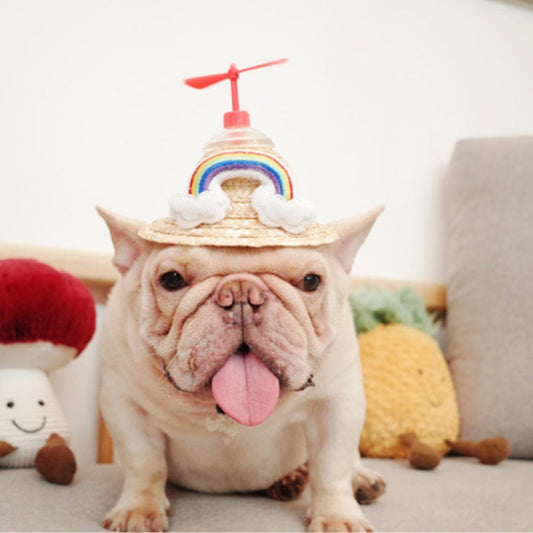 Dog Spinning Straw Hat with Drawcord for French Bulldog - Frenchiely