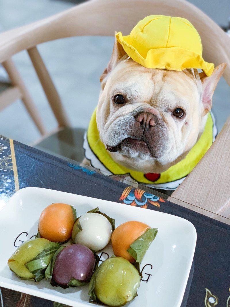 Dog Yellow Hat with Flexible String for Medium Dogs - Frenchiely