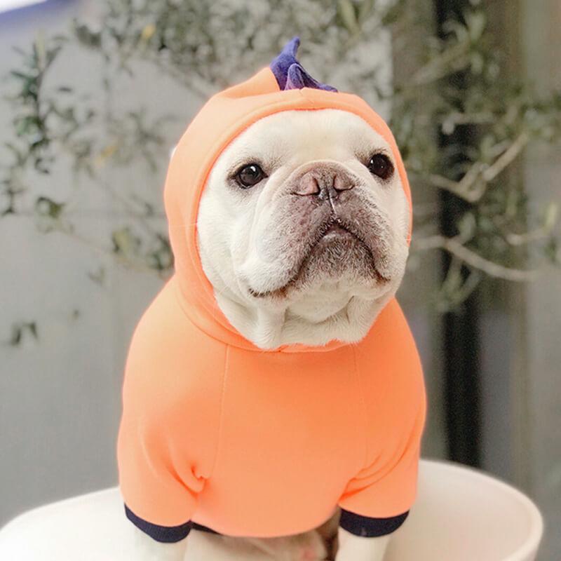 Dog Cartoon Dinosaur Hoody Coat for Medium Dogs - Frenchiely