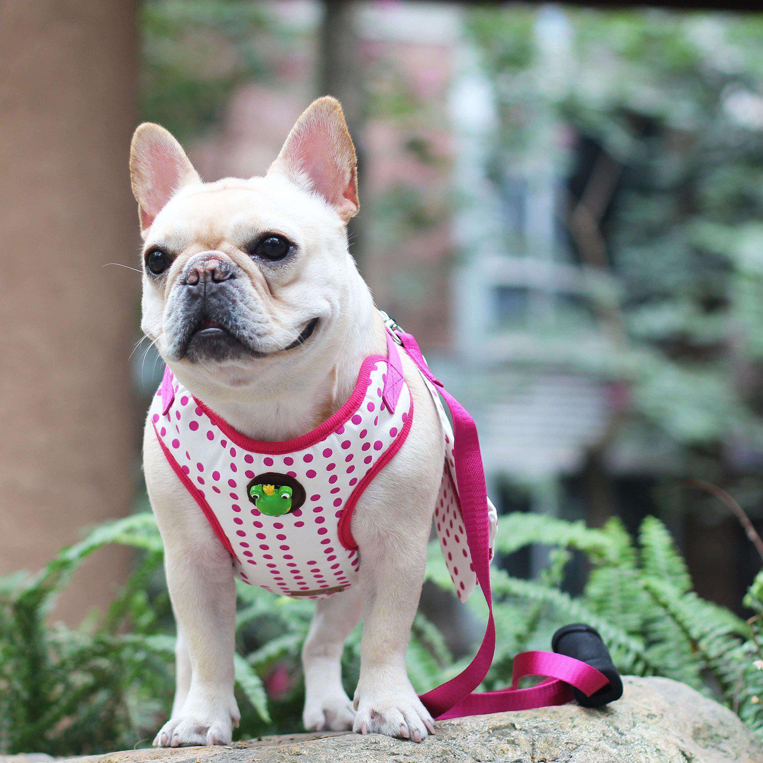 pink soft dog harness for french bulldog adjustable puppy