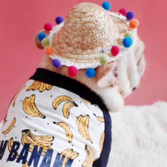 Summer Straw Hat for Frenchies - Frenchiely