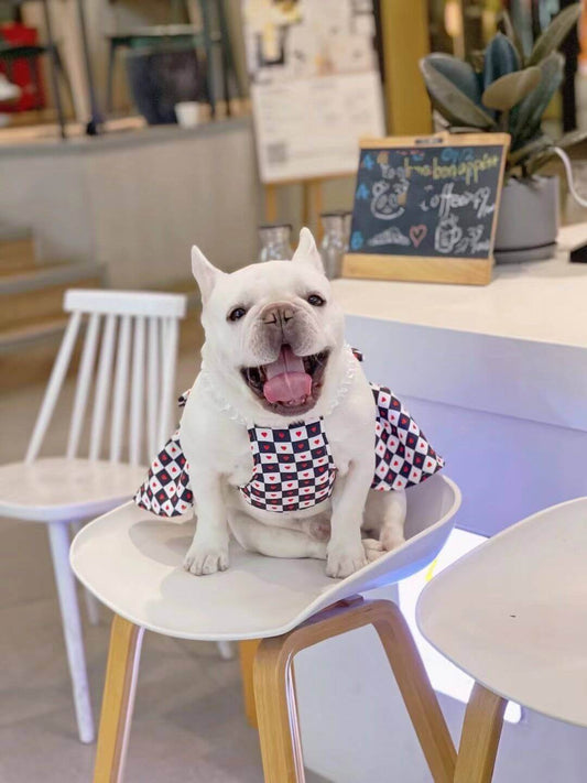 Dog Red Bow Tie Dress FOR FRENCH BULLDOGS BY FRENCHIELY