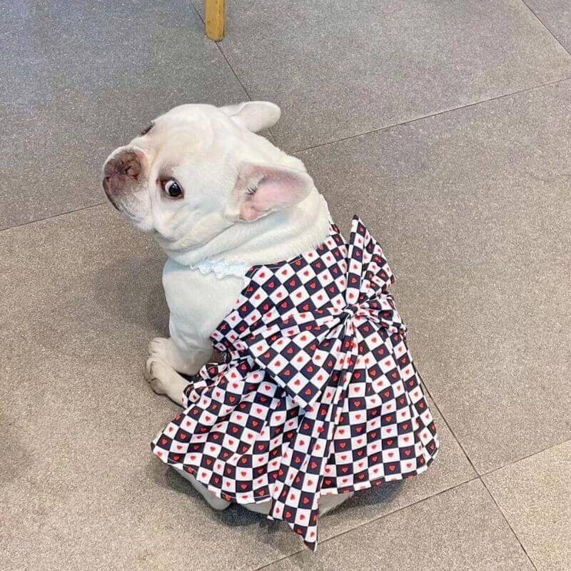Dog Red Bow Tie Dress FOR FRENCH BULLDOGS BY FRENCHIELY