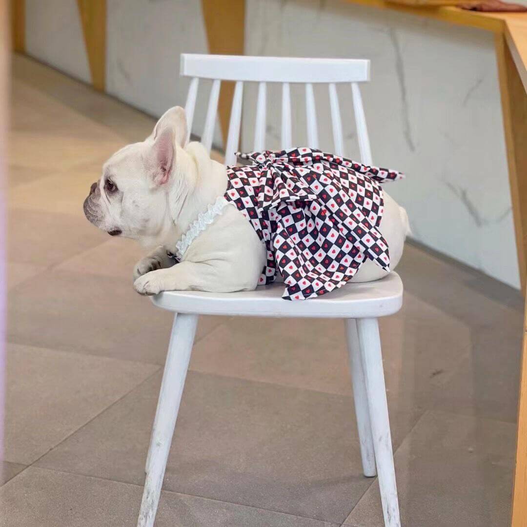 Dog Red Bow Tie Dress FOR FRENCH BULLDOGS BY FRENCHIELY