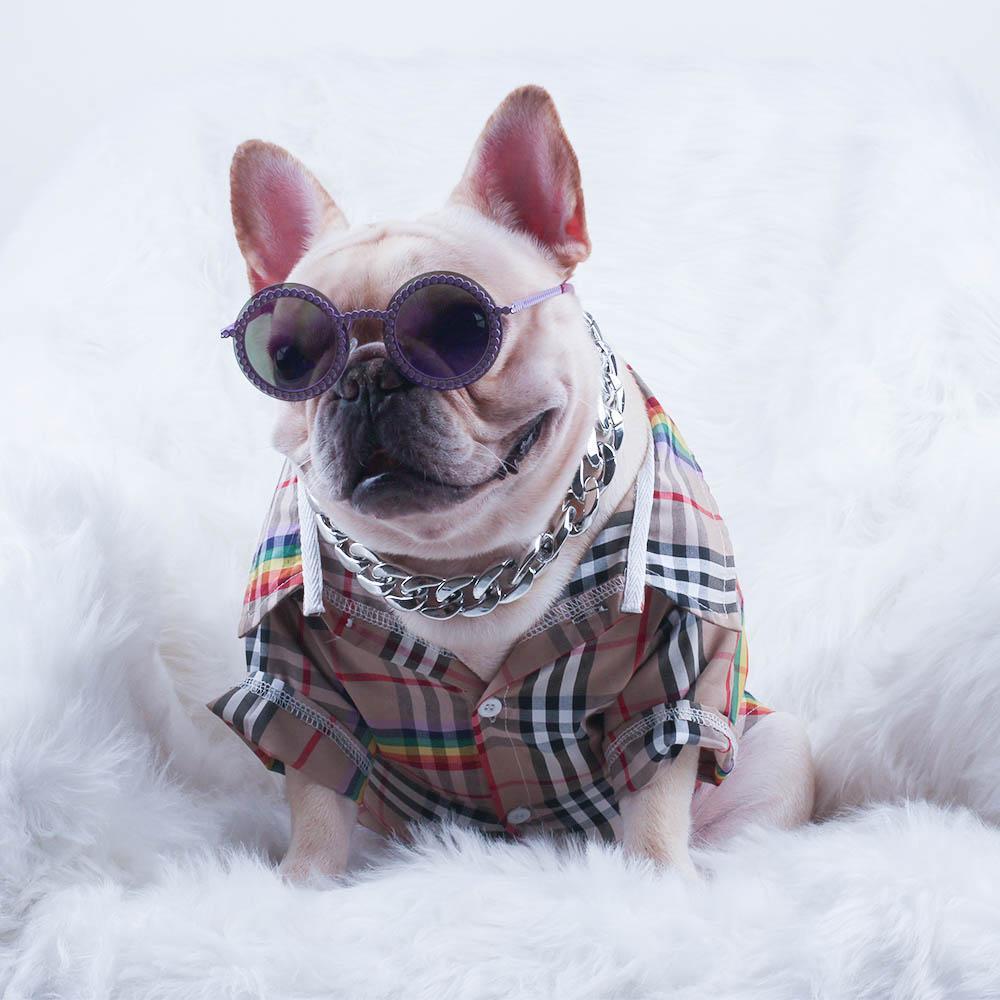 Golden Plastic Dog Chain for French Bulldog - Frenchiely