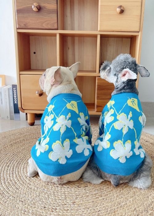 Dog Blue Flower Pullover Sweater for medium dogs by Frenchiely