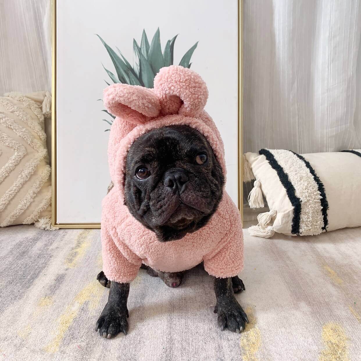 Dog Bunny costume hoodie for small medium dogs by Frenchiely
