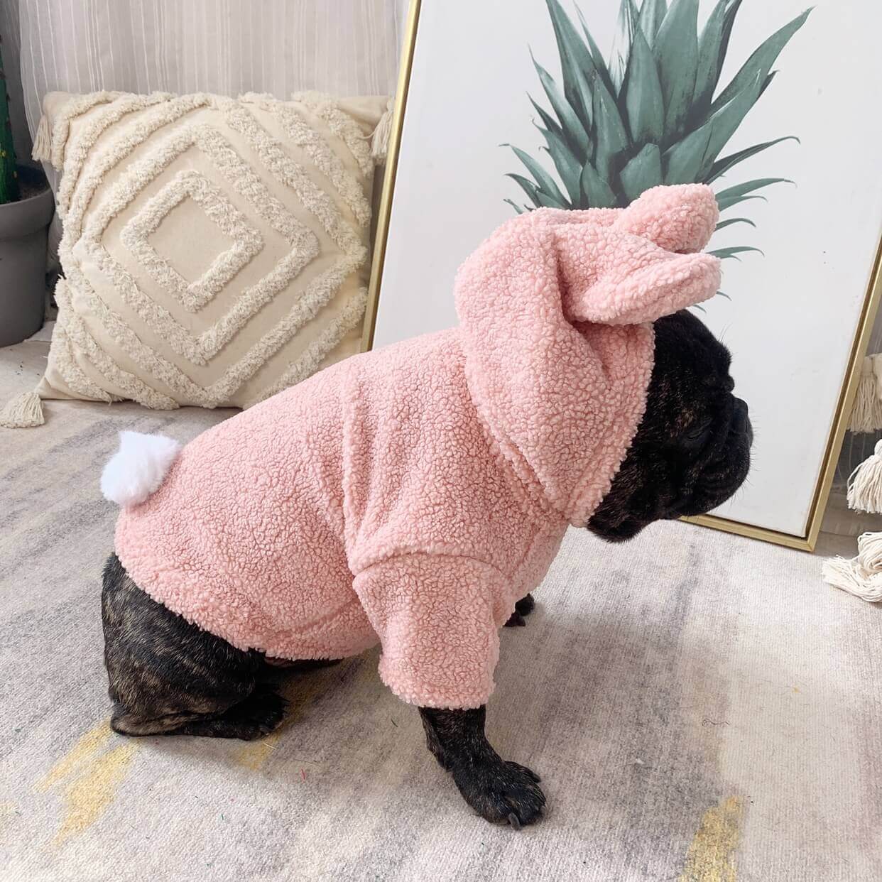 Dog Bunny costume hoodie for small medium dogs by Frenchiely