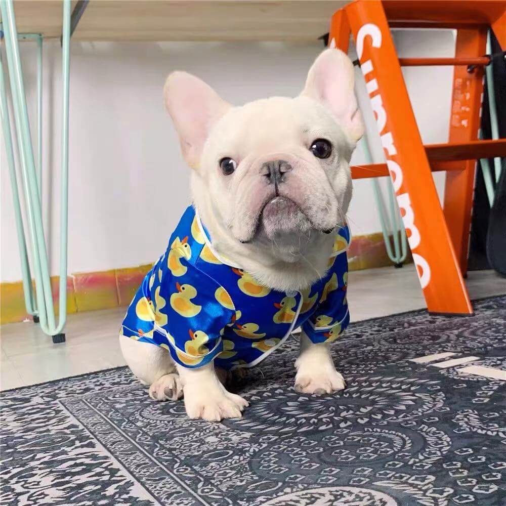 Dog Cartoon Duck Blue Silk Pajamas PJs by Frenchiely