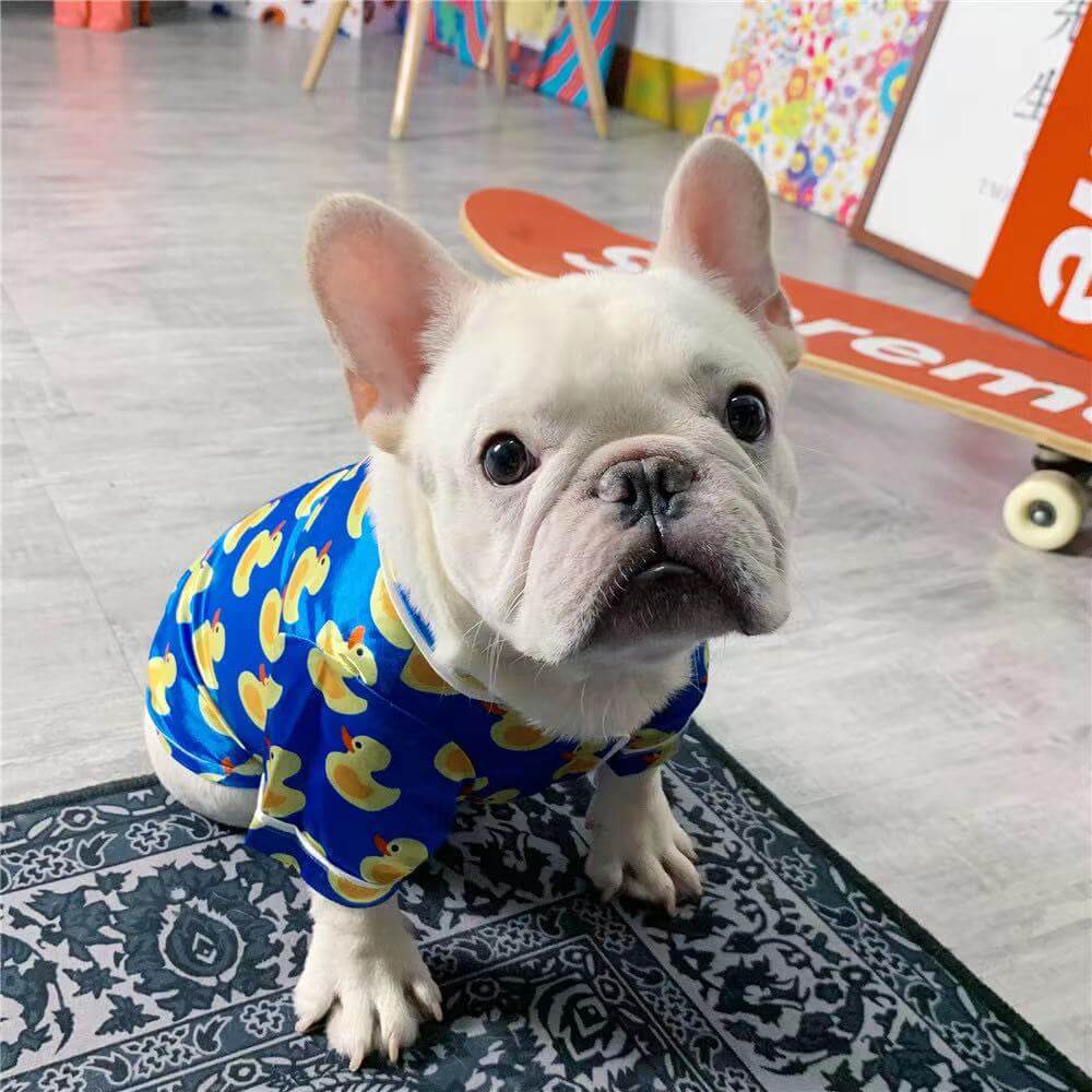 Dog Cartoon Duck Blue Silk Pajamas PJs by Frenchiely