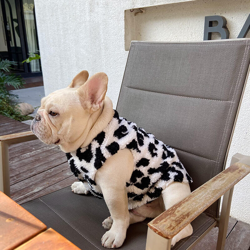 Dog Cow Winter Jacket Coat for French Bulldogs by Frenchiely 01