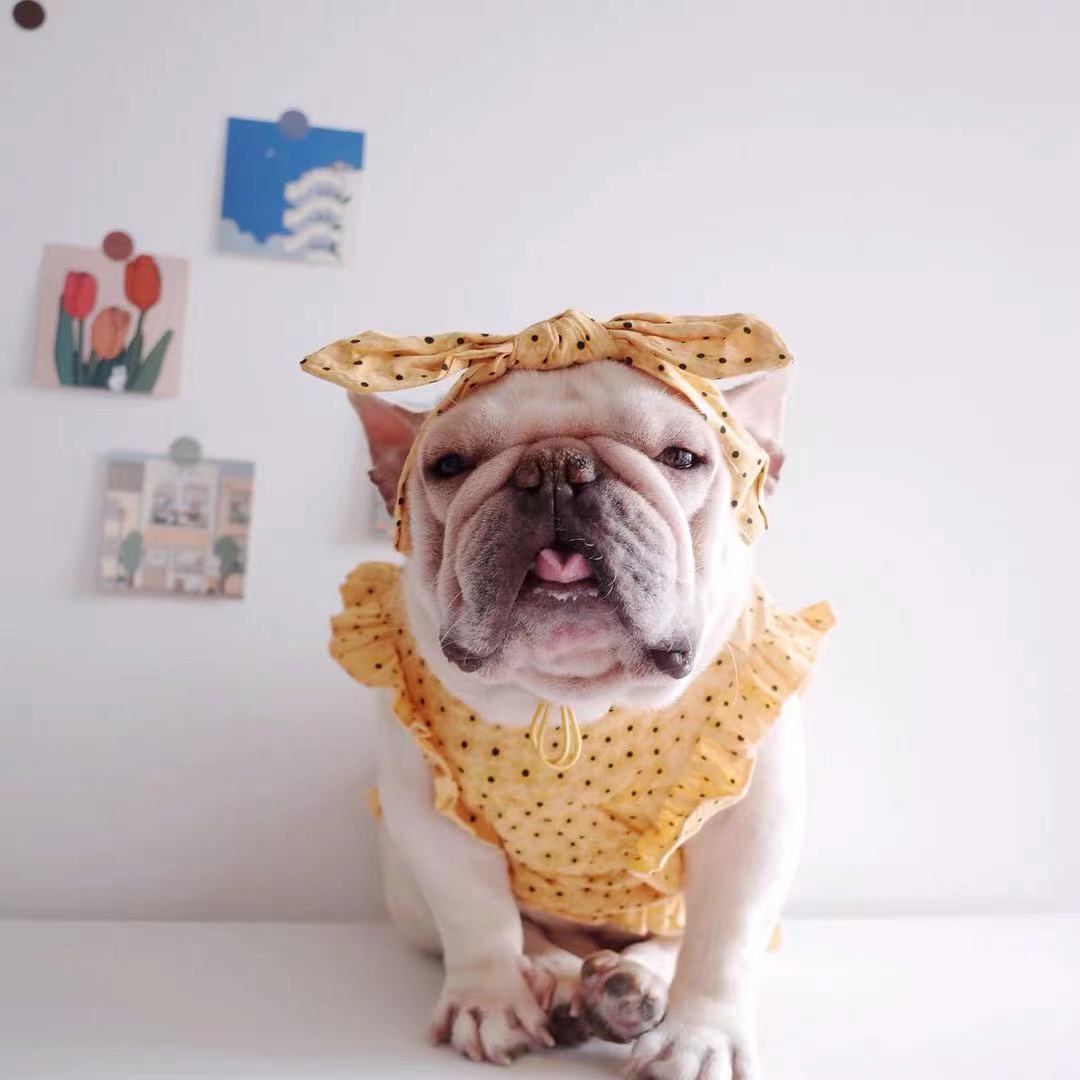 Dog Floral Puff Sleeve Dress for Female Bulldogs