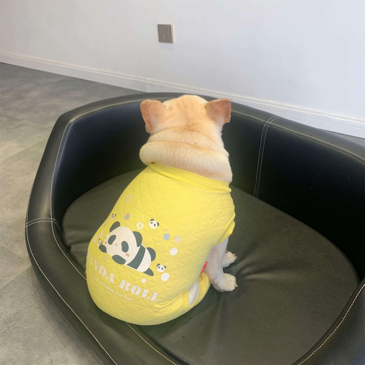 Dog Panda Pajamas Jammies for small medium dogs by frenchiely