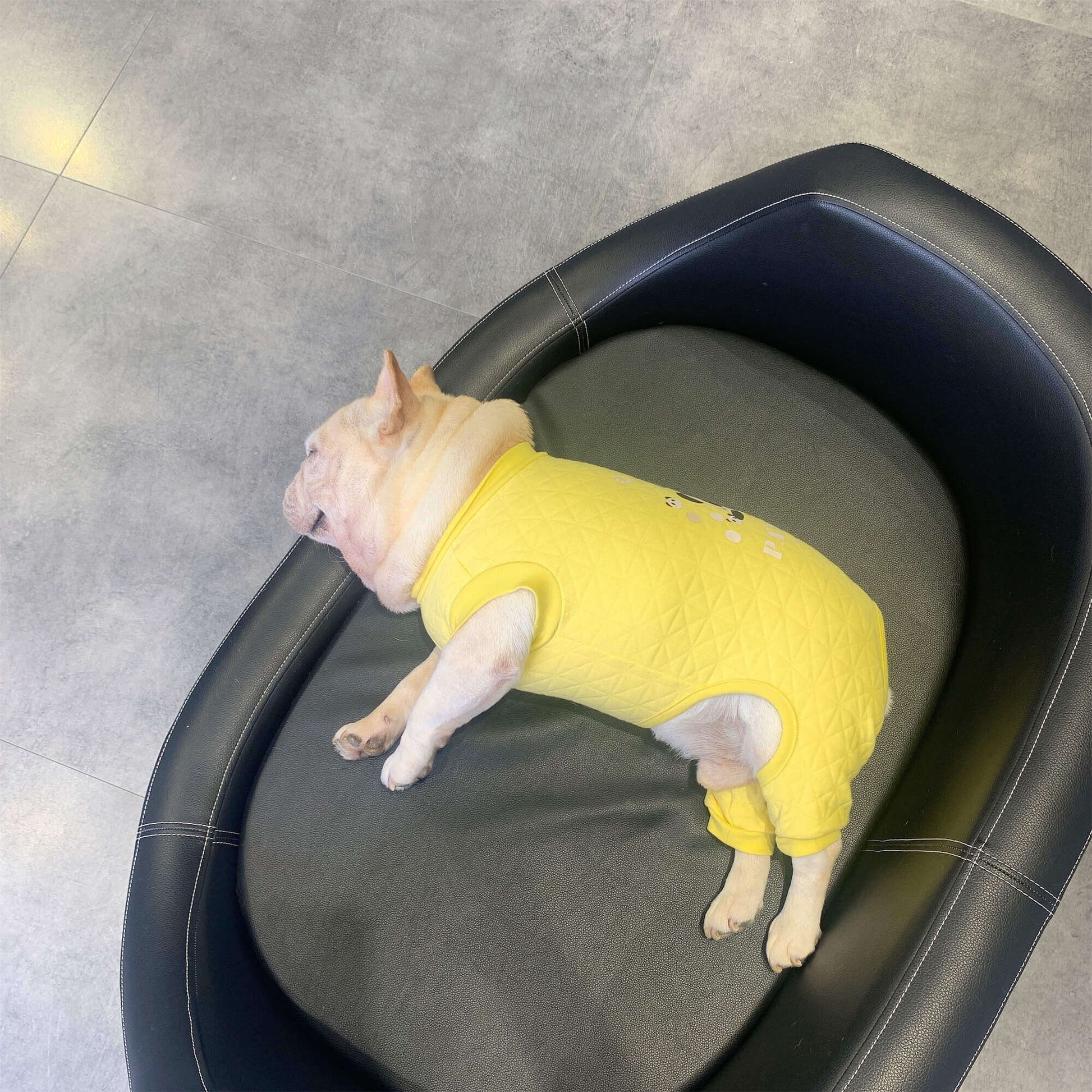 Dog Panda Pajamas Jammies for small medium dogs by frenchiely