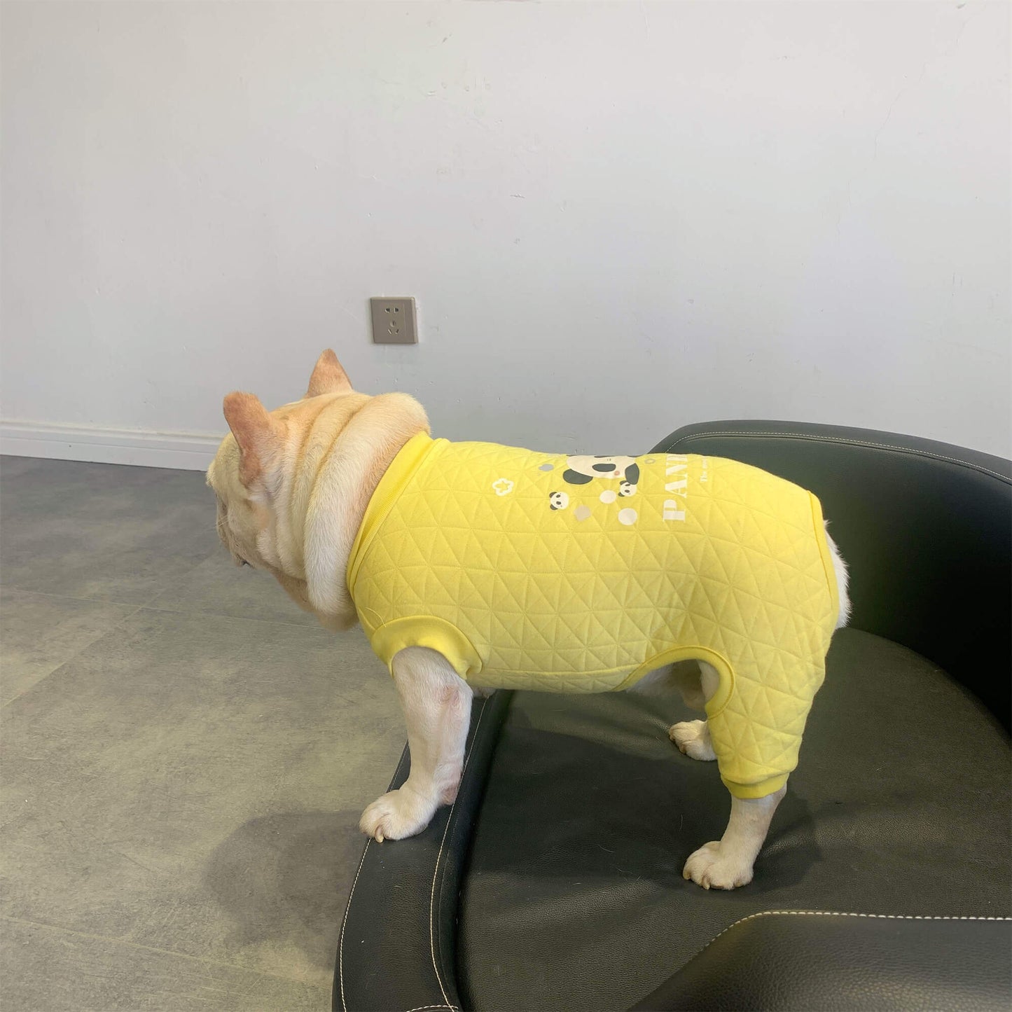 Dog Panda Pajamas Jammies for small medium dogs by frenchiely