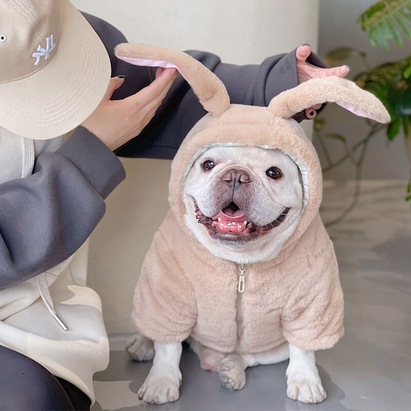 Dog Pink Bunny Zipper Up Coat for small meidum dogs by Frenchiely