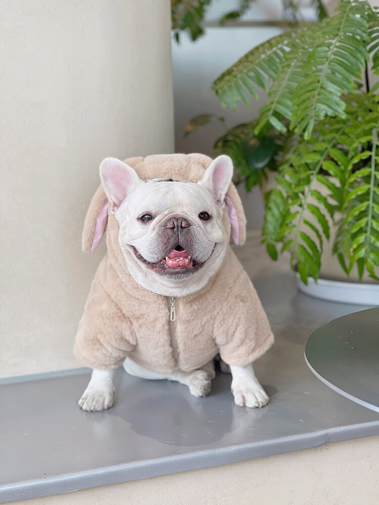 Dog Pink Bunny Zipper Up Coat for small meidum dogs by Frenchiely