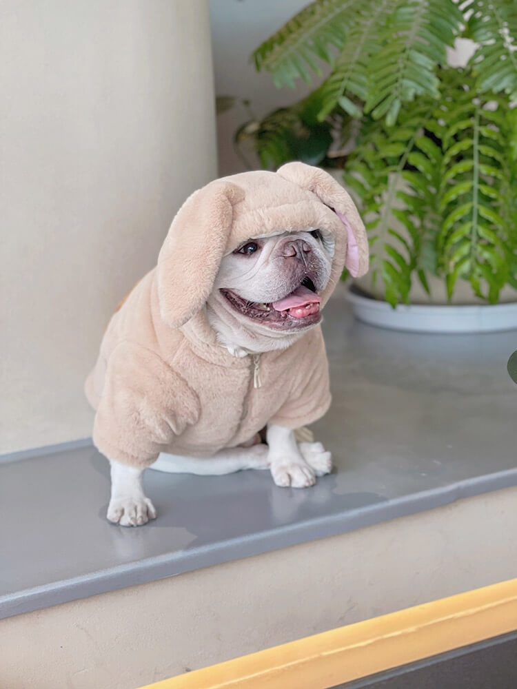 Dog Pink Bunny Zipper Up Coat for small meidum dogs by Frenchiely