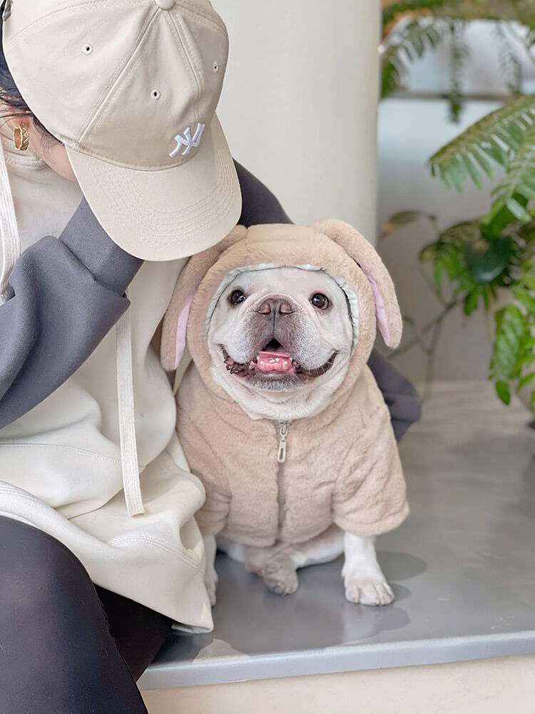 Dog Pink Bunny Zipper Up Coat for small meidum dogs by Frenchiely