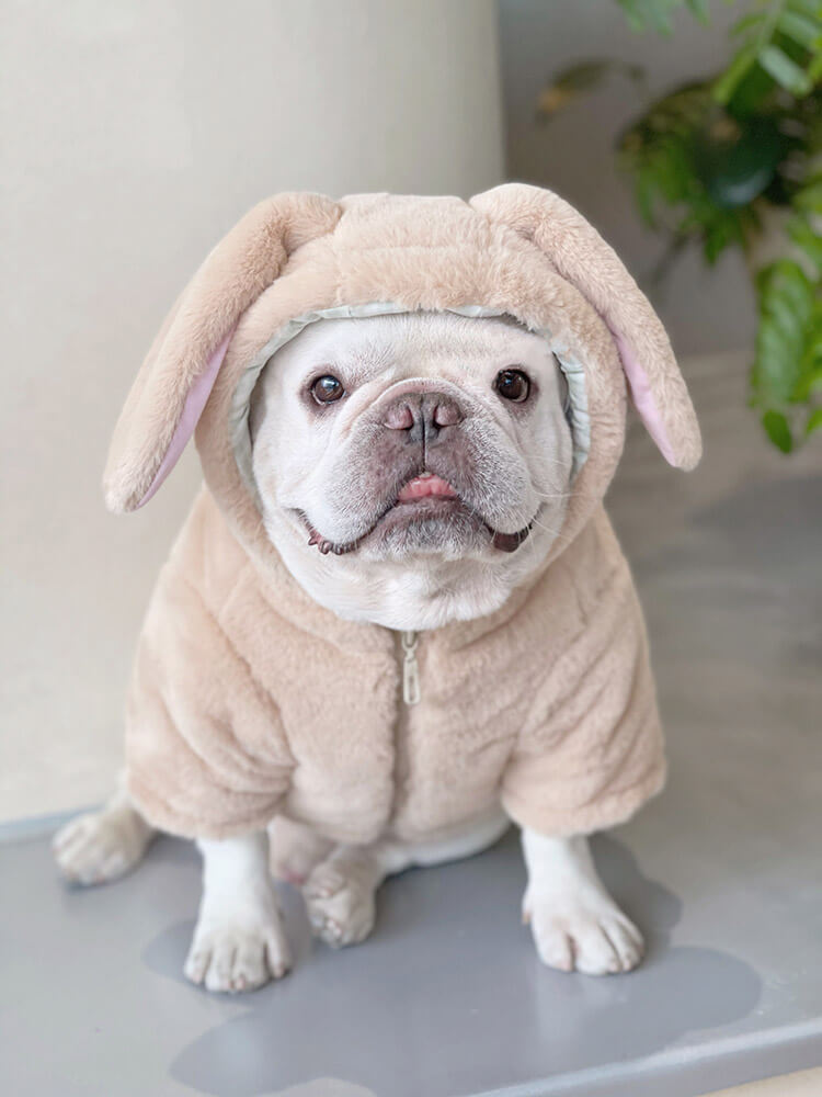 Dog Pink Bunny Zipper Up Coat for small meidum dogs by Frenchiely