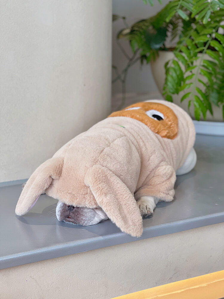 Dog Pink Bunny Zipper Up Coat for small meidum dogs by Frenchiely