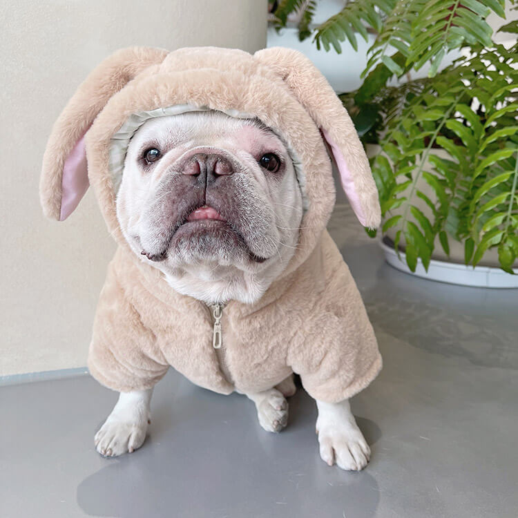 Dog Pink Bunny Zipper Up Coat for small meidum dogs by Frenchiely