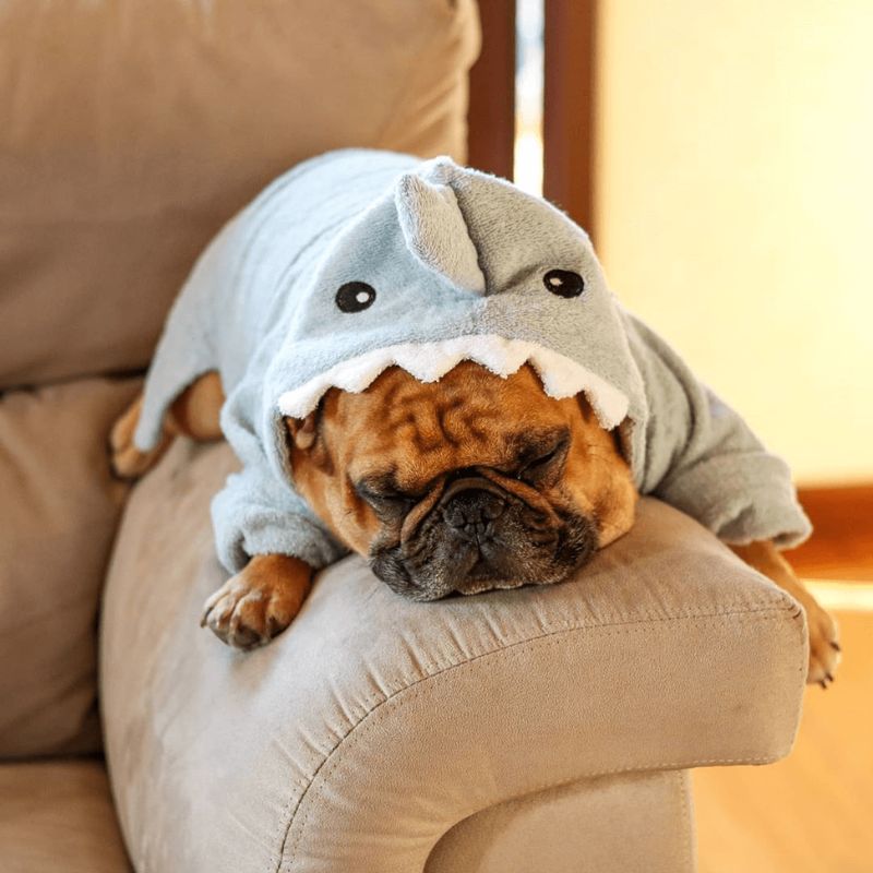 Dog Shark Bath Robe for french bulldogs 