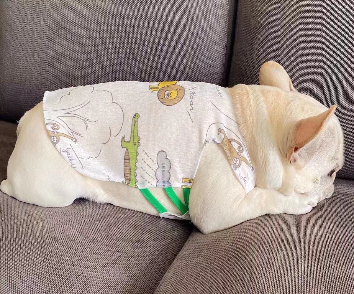 Dog Summer Cartoon Lion Mesh Vest Shirt- The Zoo