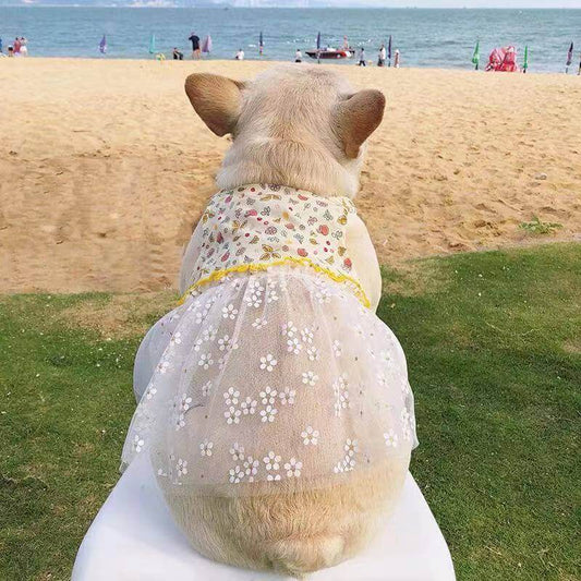 Dog Summer Light Yellow Suspenders Dress