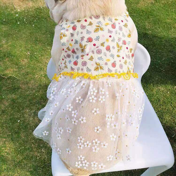 Dog Summer Light Yellow Suspenders Dress