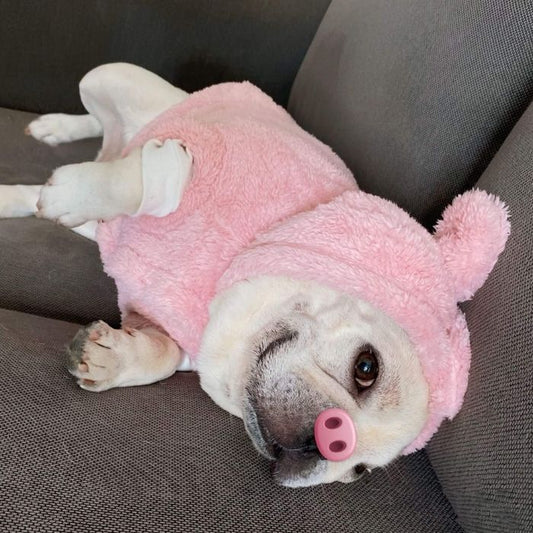 Dog Panda Piggy Costume - Frenchiely