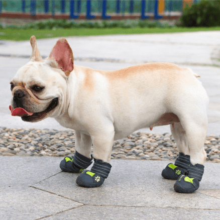 Dog Waterproof Rain Snow Boots Shoes Sneakers - Frenchiely