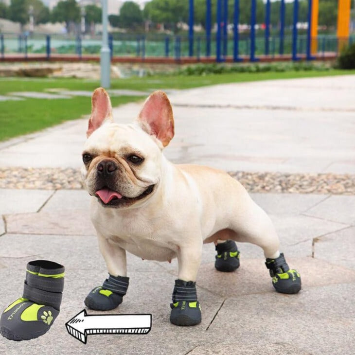 Dog Waterproof Rain Snow Boots Shoes Sneakers - Frenchiely