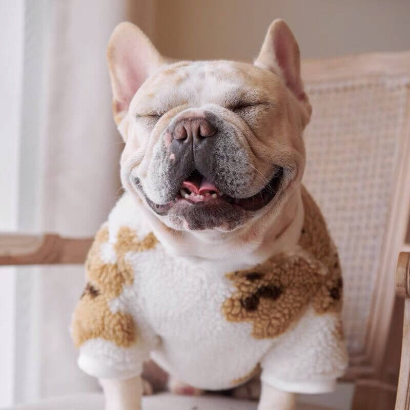 Dog Winter Bear Pullover Sweater for Medium Dogs