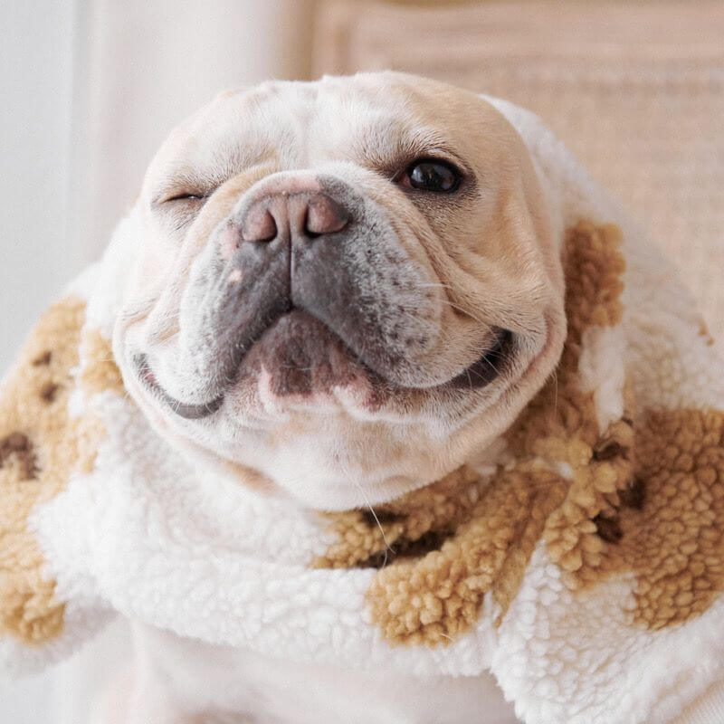 Dog Winter Bear Pullover Sweater for Medium Dogs