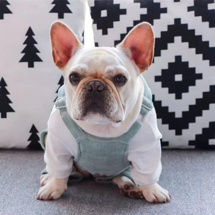 Dog Winter Flexible Jumpsuit Overall with Pocket - Frenchiely