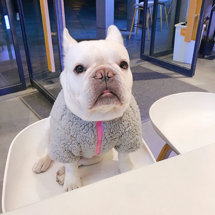 Dog Winter Fluffy Jacket Coat for Frenchies