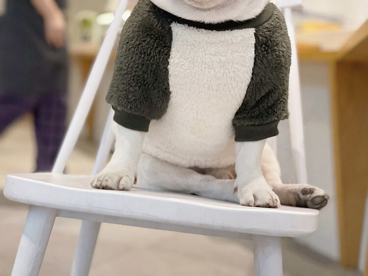 Fluffy Sweater with Pocket DogWinterWarmPulloverSweaterwithPocketforsmallmediumdogsbyFrenchiely003_10